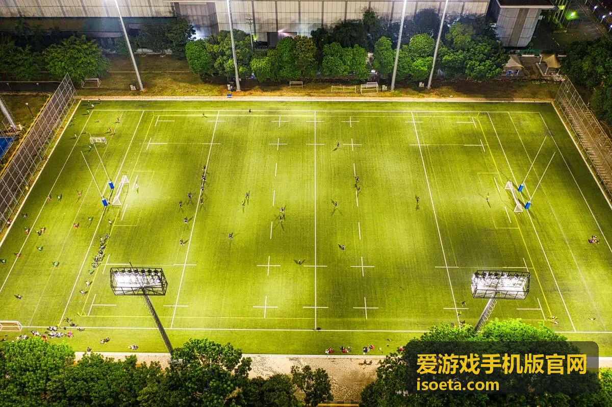 爱游戏手机版官网对局进行中界面截图