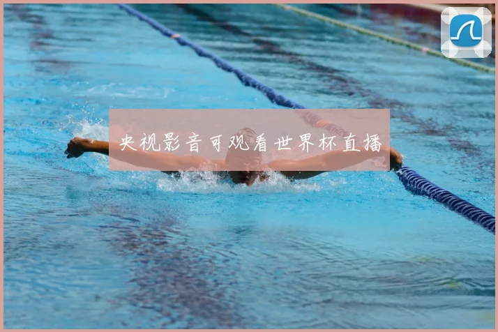 央视影音可观看世界杯直播