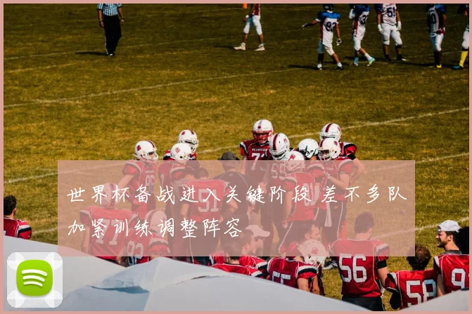 世界杯备战进入关键阶段 差不多队加紧训练调整阵容