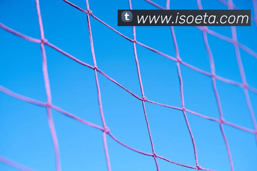 星空官方网站平台APP 封面图